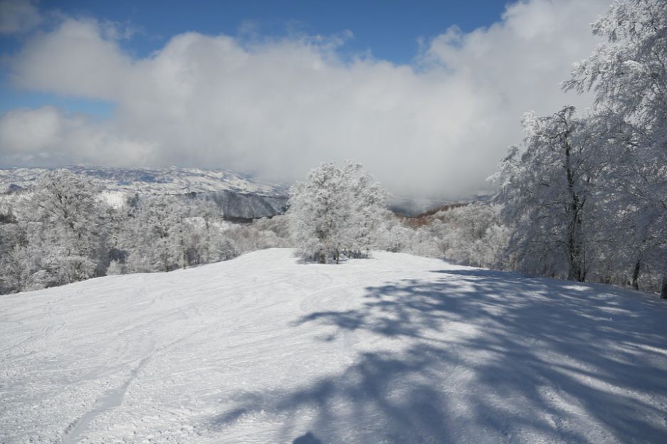 野沢温泉 スキー場