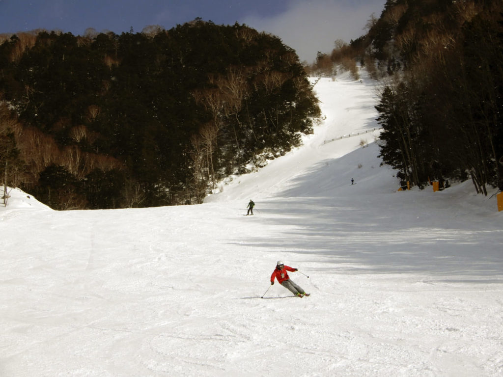 丸沼高原スキー場◇極上の粉雪とロングコースを近場で満喫！ | スキー 